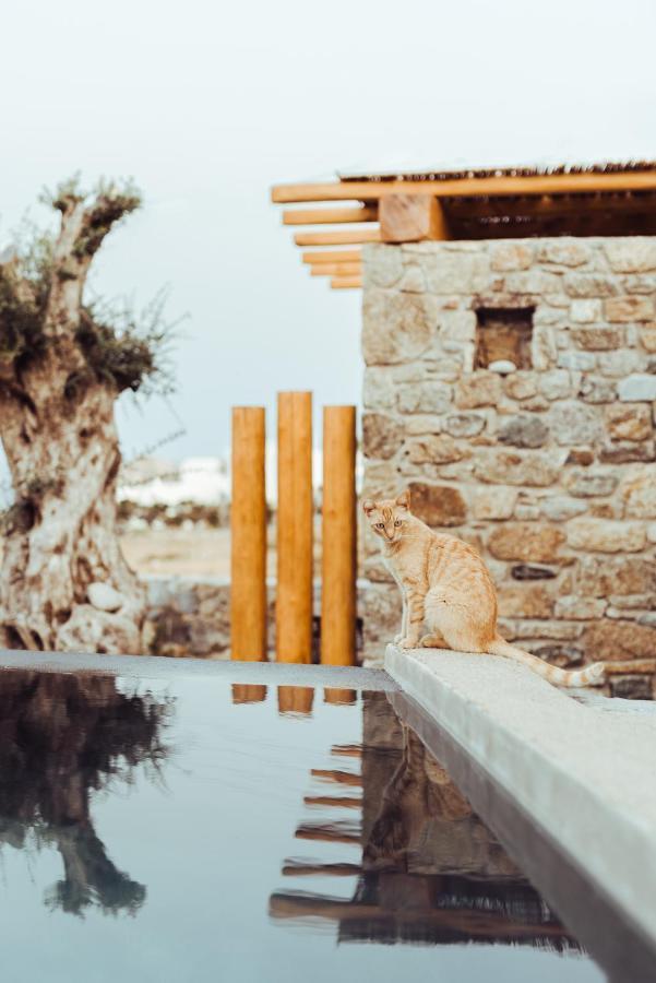M-Vibes Mykonos Suites Kalafati Zewnętrze zdjęcie
