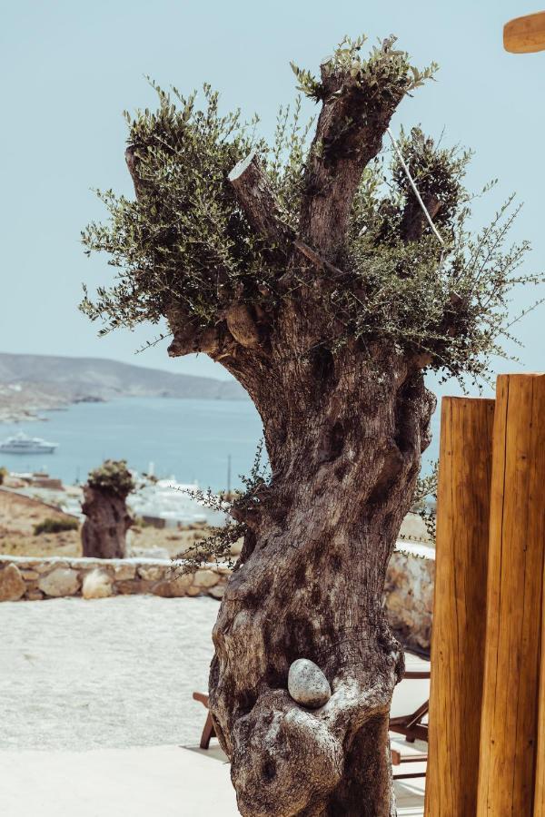 M-Vibes Mykonos Suites Kalafati Zewnętrze zdjęcie
