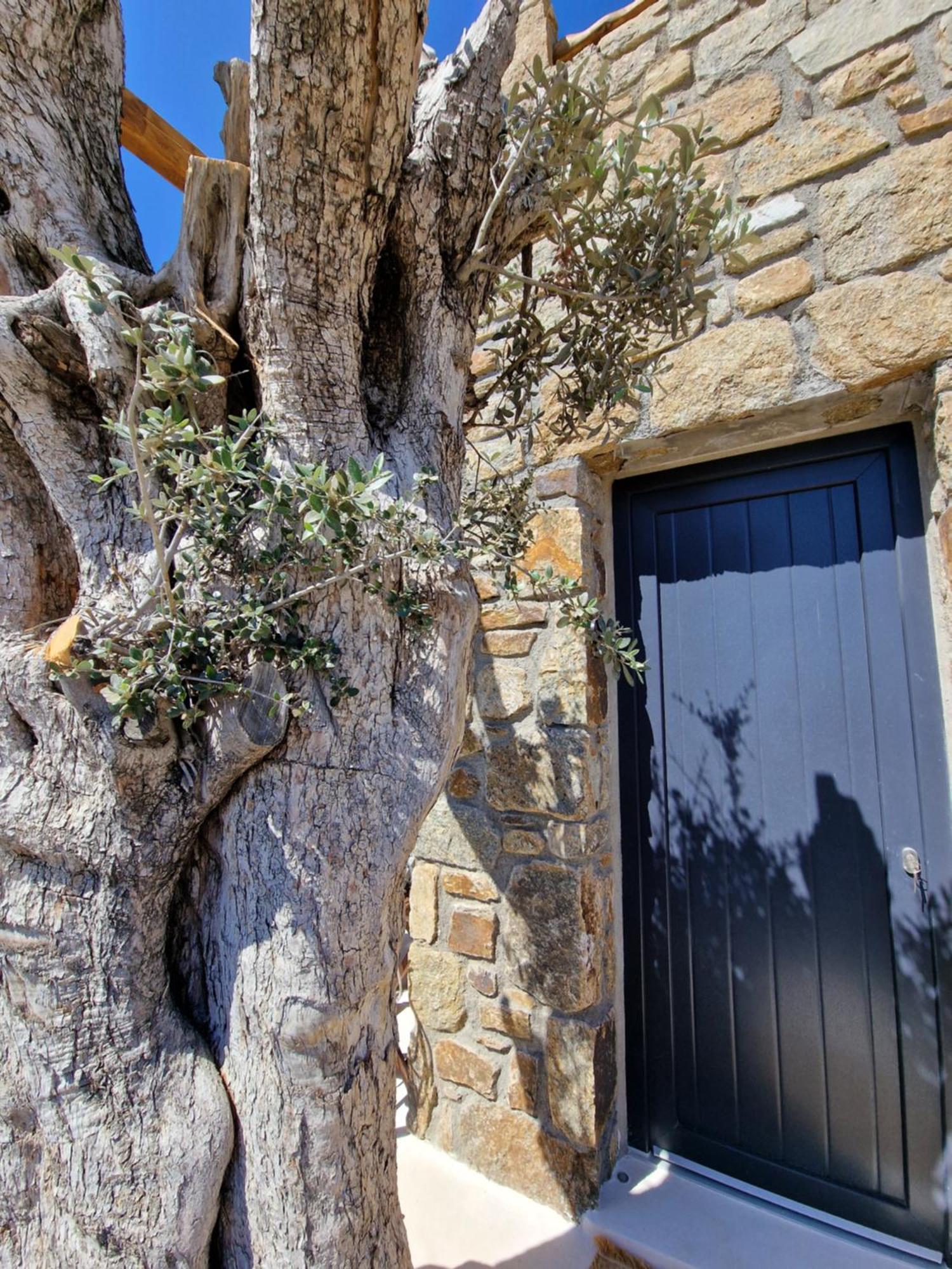 M-Vibes Mykonos Suites Kalafati Pokój zdjęcie
